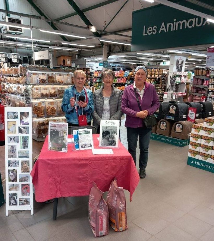 vero-mireille-stella2.jpg -